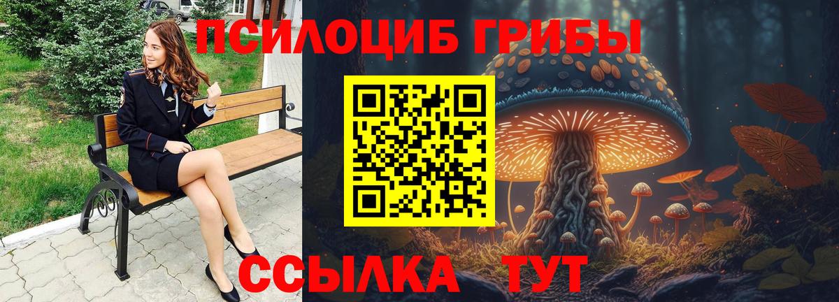хочу наркоту  Псилоцибиновые грибы MAGIC MUSHROOMS  Псилоцибиновые грибы Cubensis  Вход с VPN  Вышний Волочёк 